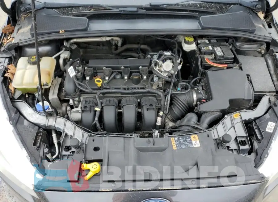 1FADP3K26HL216044 Photo# 11