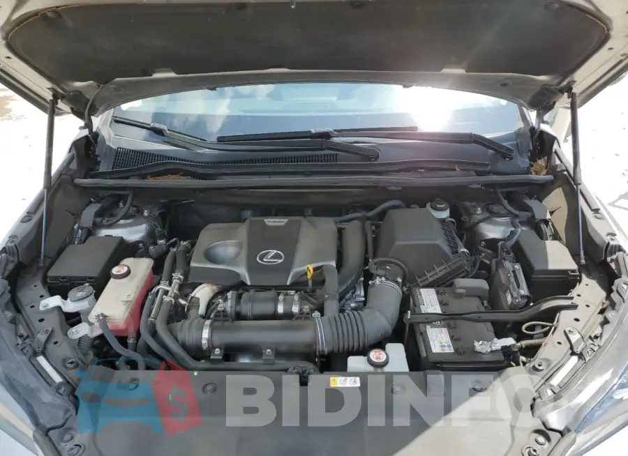 JTJDARBZ4M2190603 Photo# 11