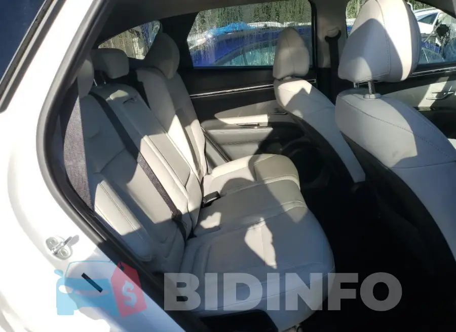 5NMJECDE4RH384231 Photo# 11
