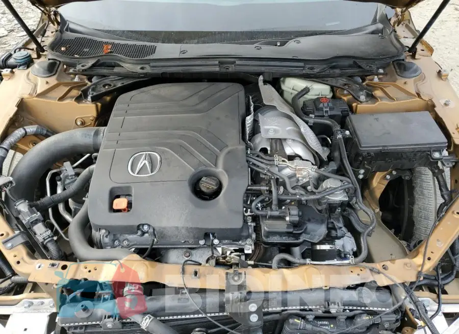 19UUB7F03MA000829 Photo# 11