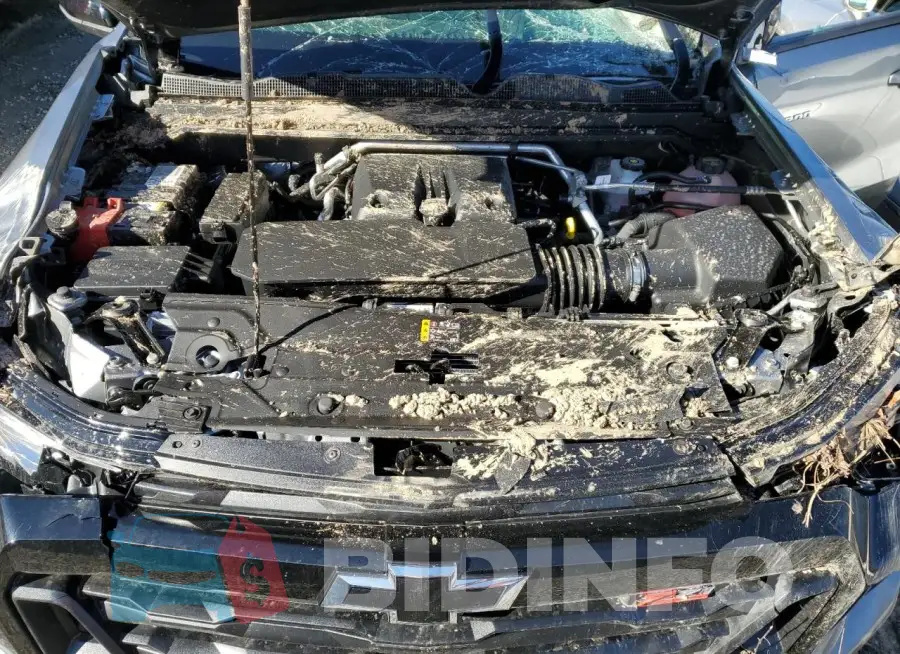 1GCPTDEKXR1300711 Photo# 11