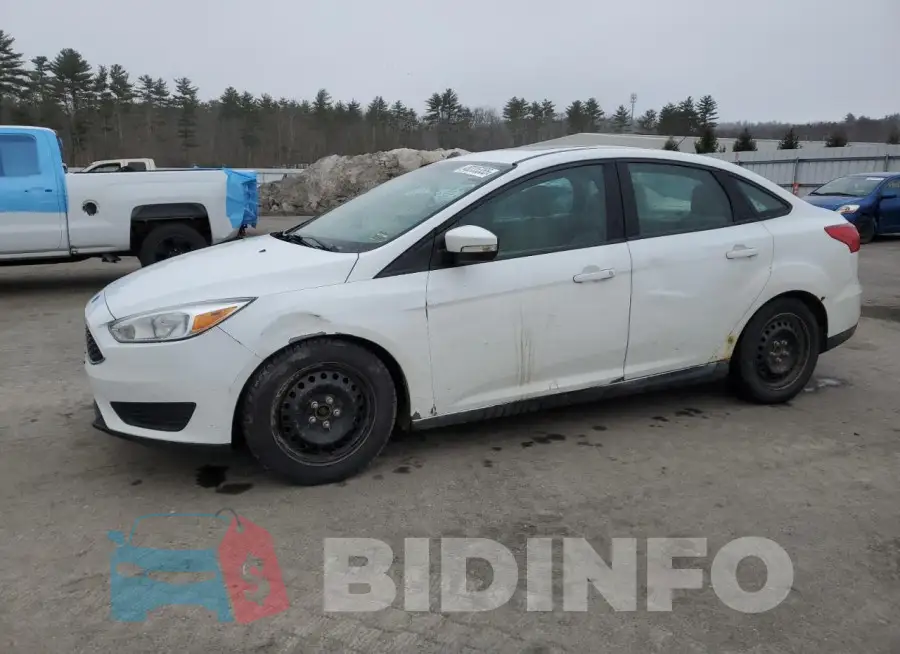 1FADP3F29GL273444 Photo# 1