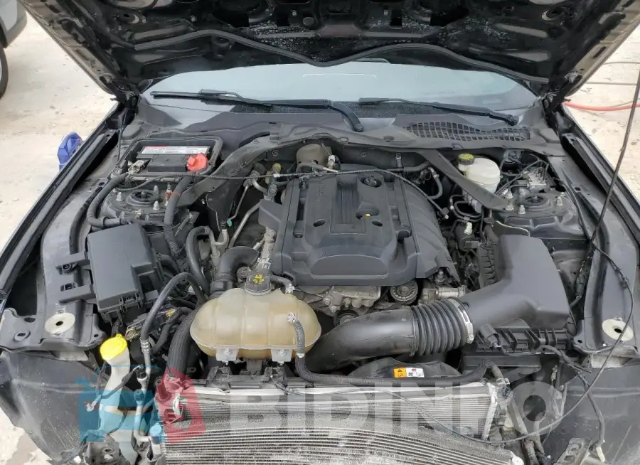 1FATP8UHXG5304589 Photo# 11
