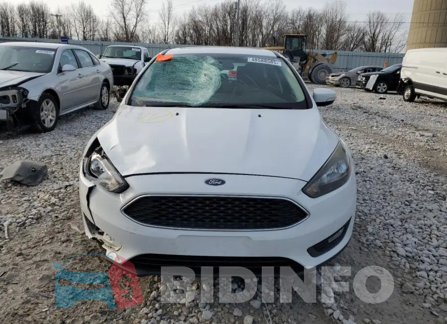1FADP3M22HL318499 Photo# 5