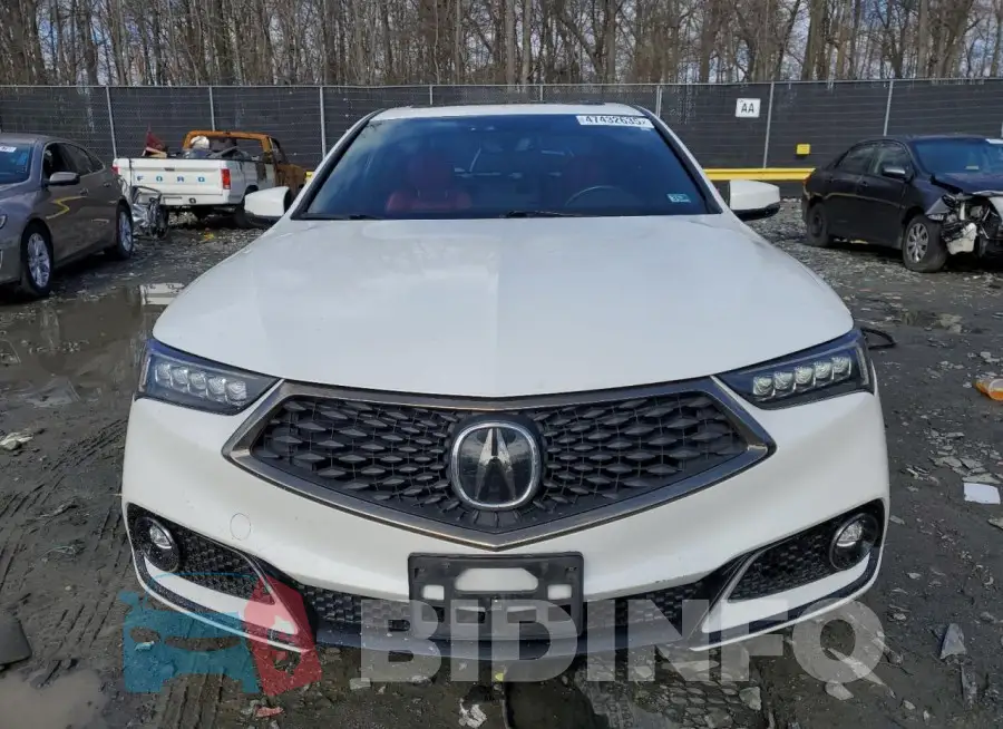 19UUB1F65KA005237 Photo# 5