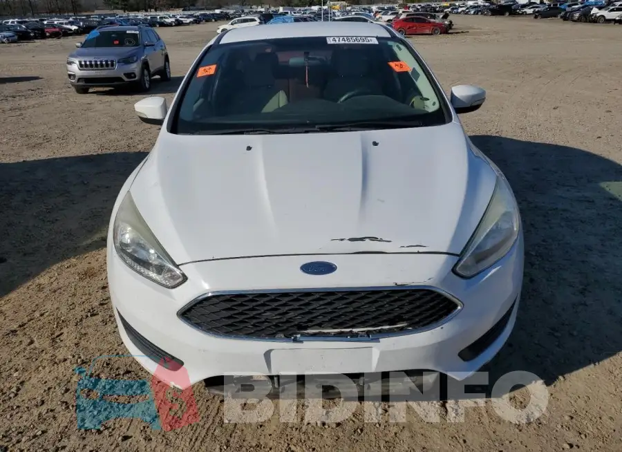 1FADP3F26HL241701 Photo# 5