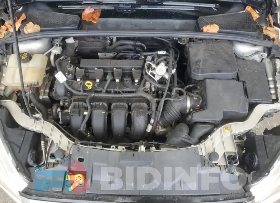 1FADP3F2XGL355148 Photo# 11