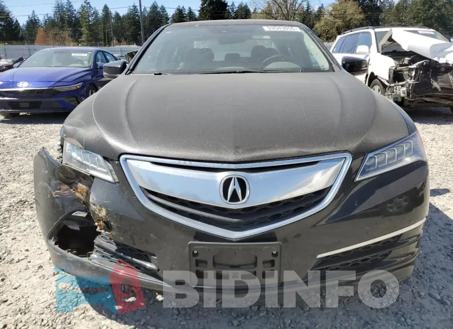 19UUB2F57GA004076 Photo# 5