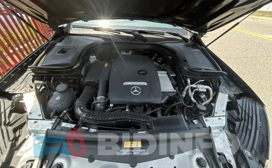 WDC0G4JBXKV139183 Photo# 7