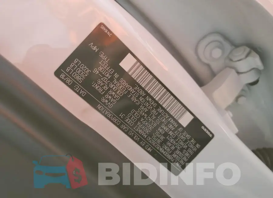 LYVBR0DM8KB239250 Photo# 13