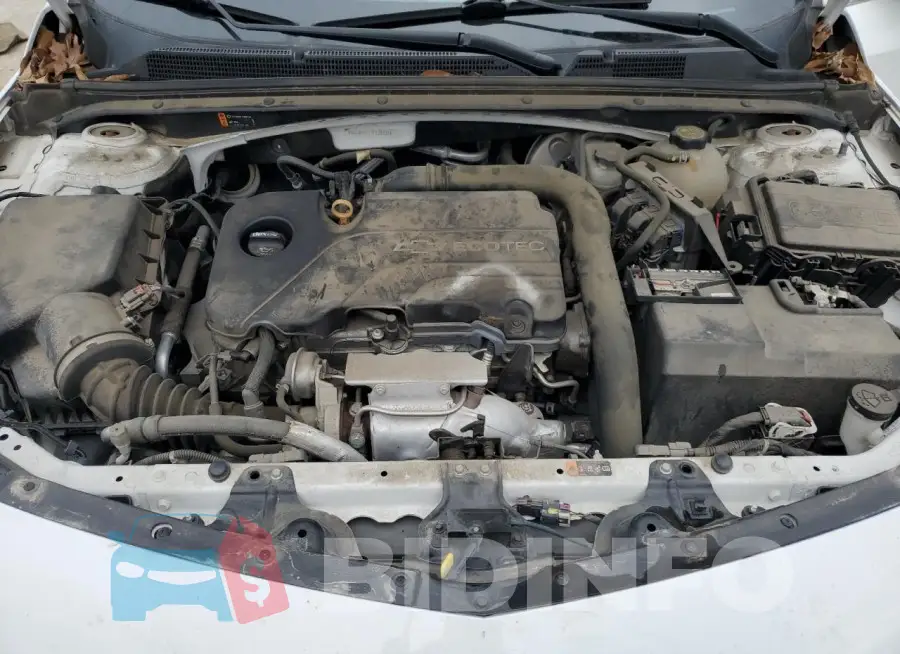1G1ZB5ST7JF116213 Photo# 11