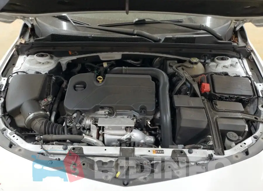 1G1ZD5ST4MF019257 Photo# 11