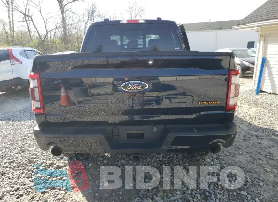 1FTEW1E8XPFD11743 Photo# 6