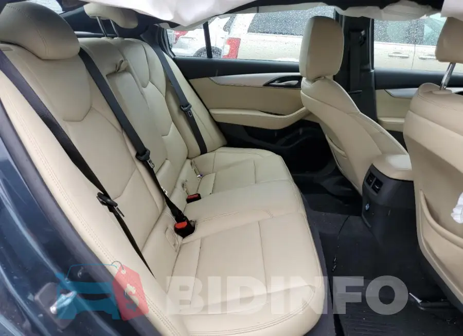 1G6DS5RK5M0113271 Photo# 10