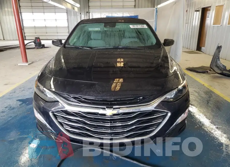 1G1ZD5ST1PF116646 Photo# 5