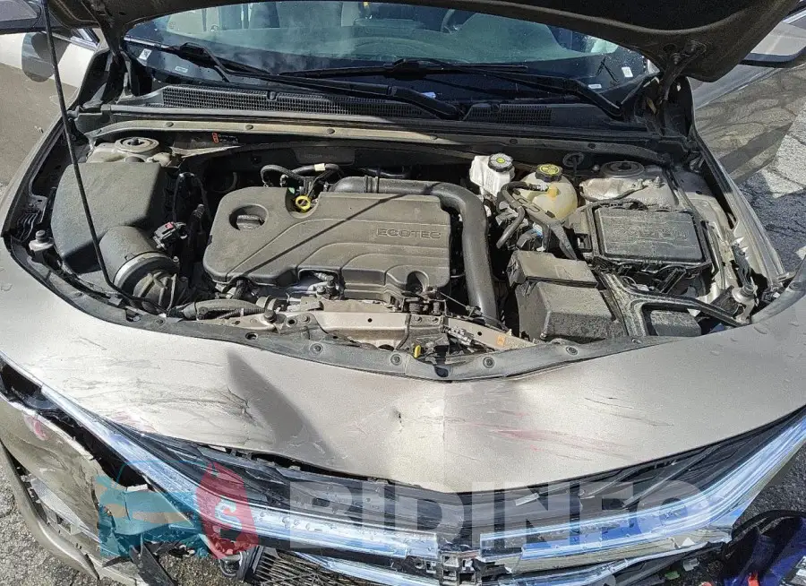 1G1ZD5ST5PF181628 Photo# 11