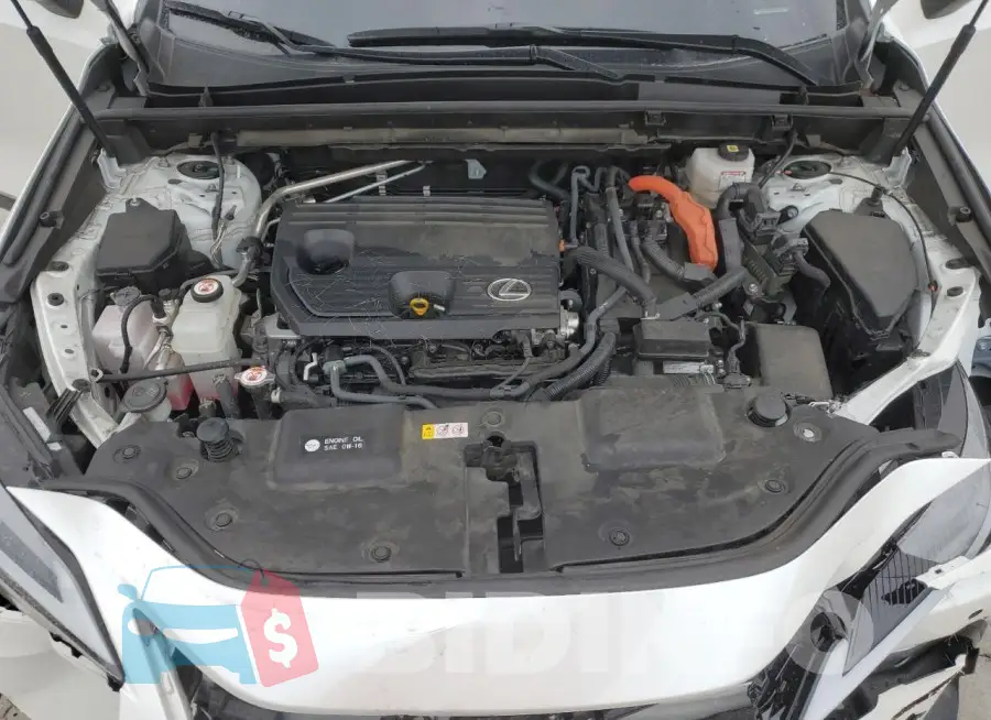 JTJGKCEZXP2013352 Photo# 12