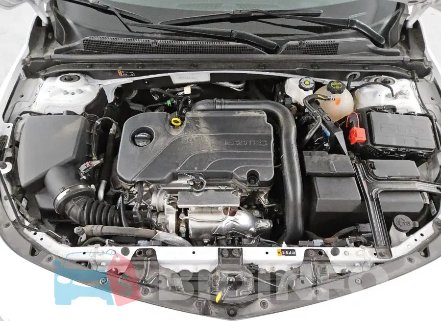 1G1ZD5ST4RF195541 Photo# 11