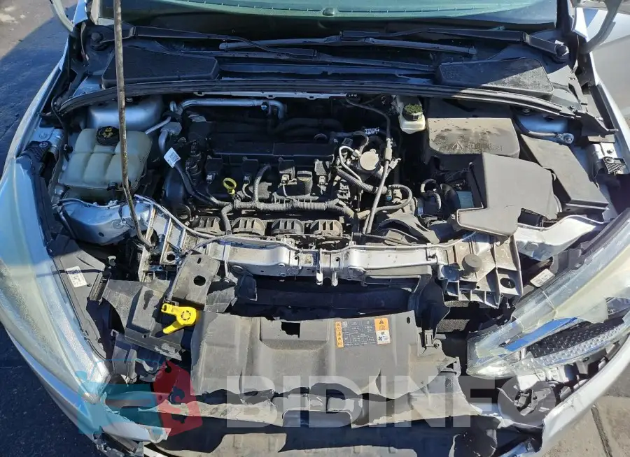 1FADP3F2XHL277097 Photo# 11