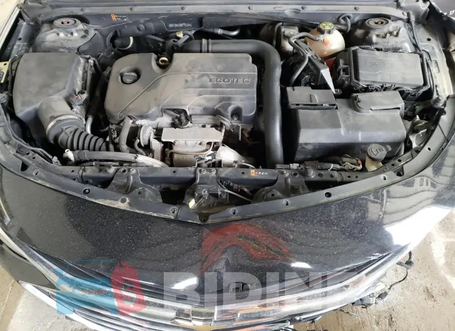 1G1ZD5ST3KF112784 Photo# 11