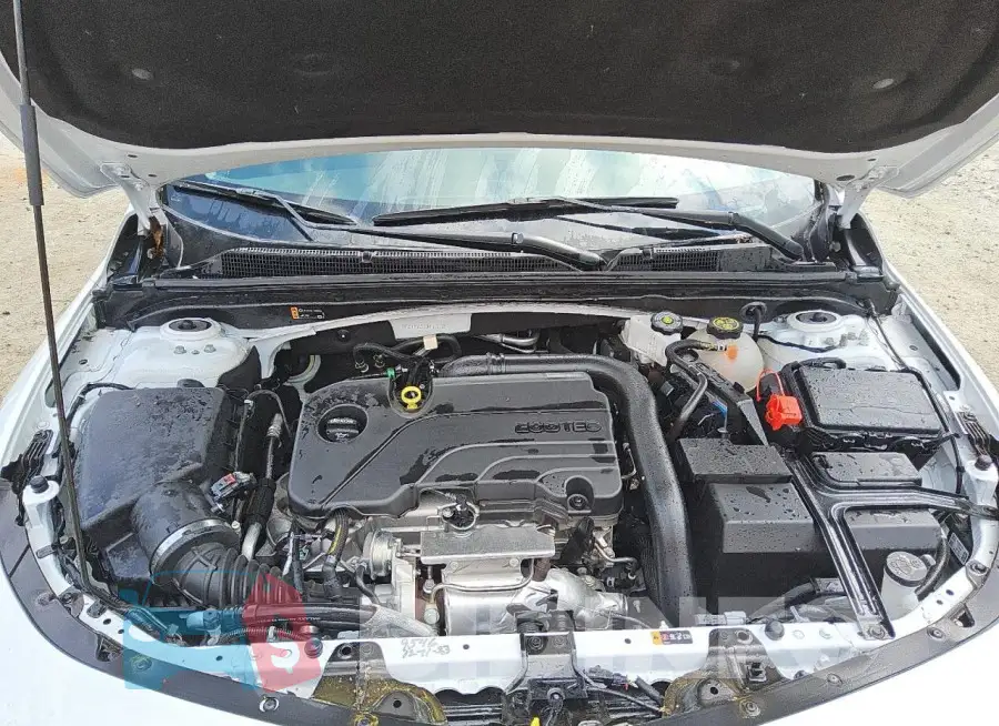 1G1ZD5ST5RF115129 Photo# 11