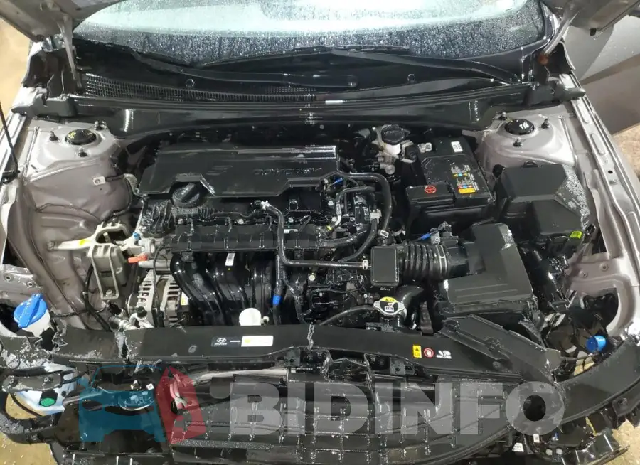 KMHLM4DGXRU650732 Photo# 11