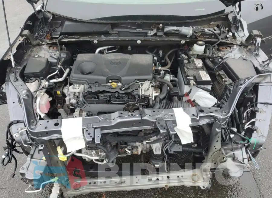 JTMP1RFV8LD524545 Photo# 12