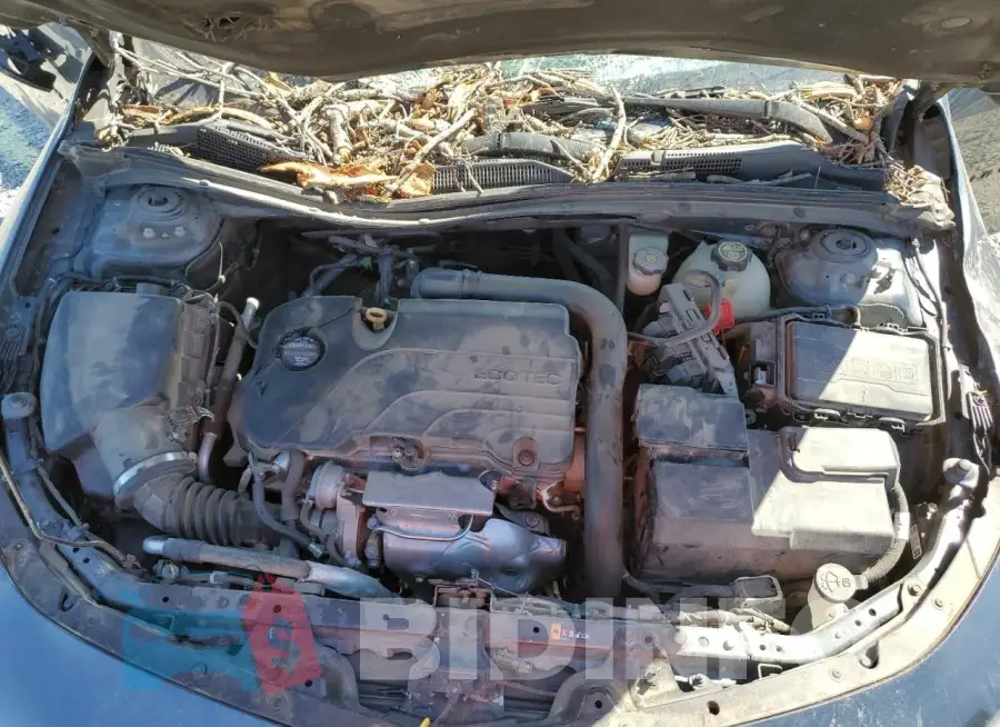 1G1ZG5ST2LF026486 Photo# 11