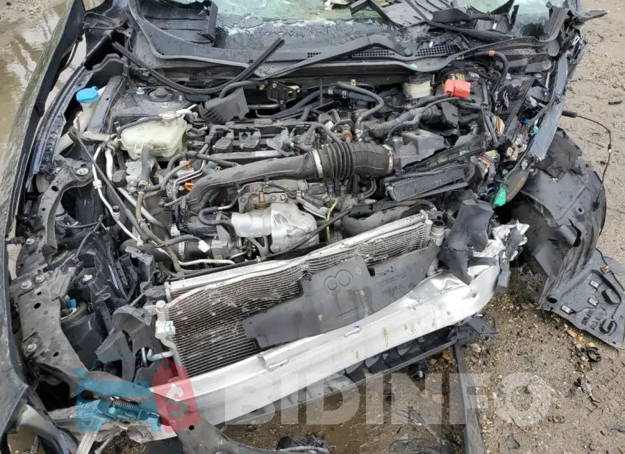 19XFC1F37KE011838 Photo# 11