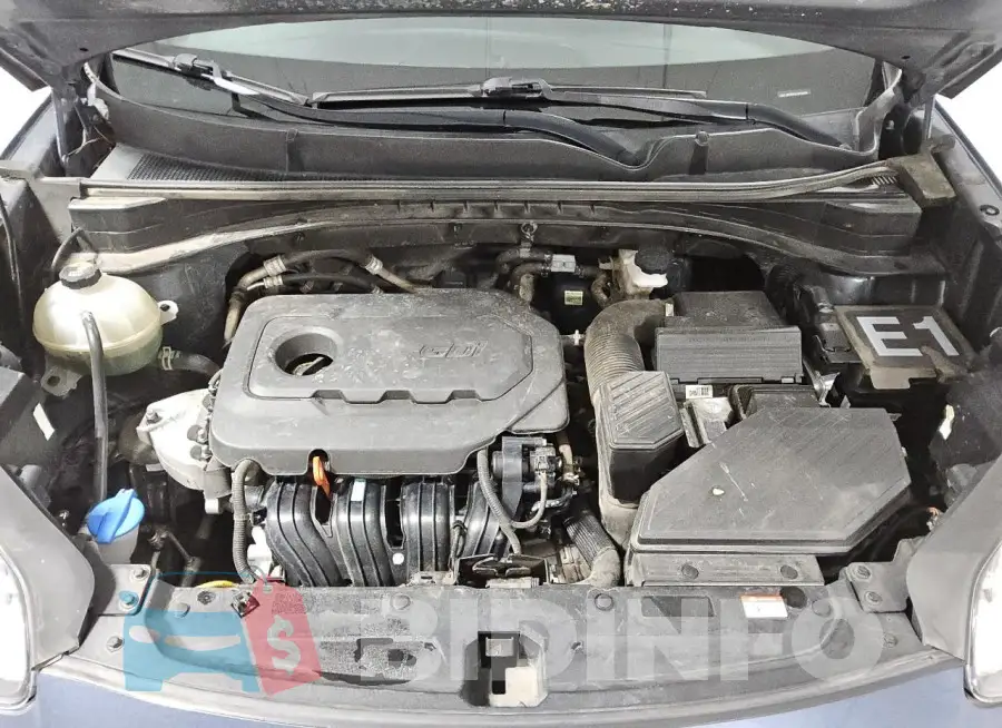 KNDPM3AC1M7846986 Photo# 12