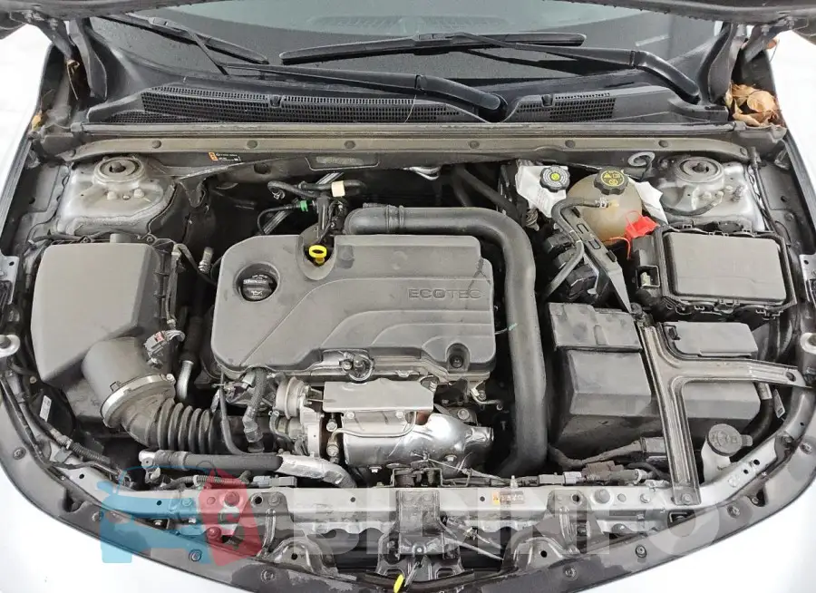 1G1ZD5ST9PF206790 Photo# 11