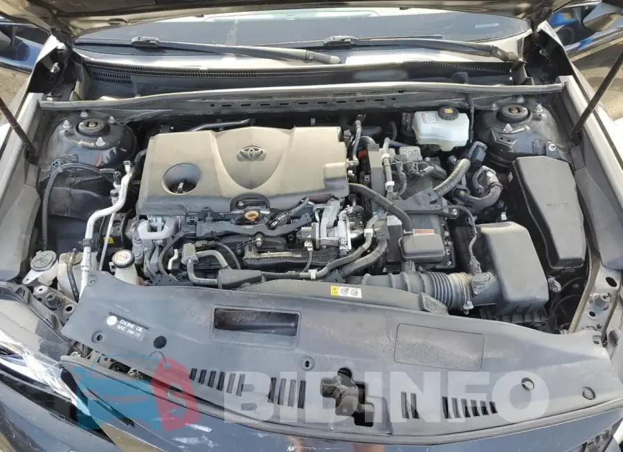 4T1C31AK8LU012237 Photo# 11