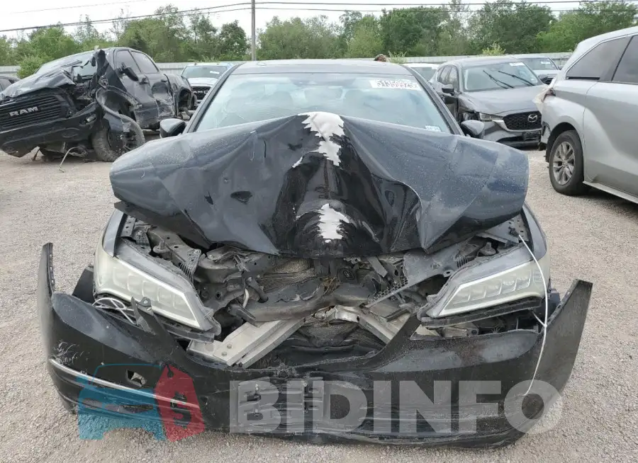 19UUB1F53GA004585 Photo# 5