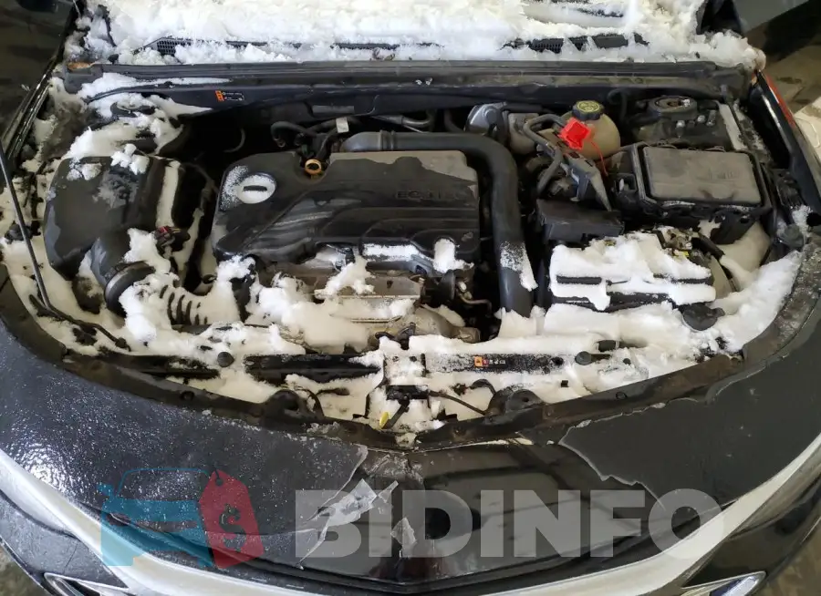 1G1ZB5ST8KF225524 Photo# 11