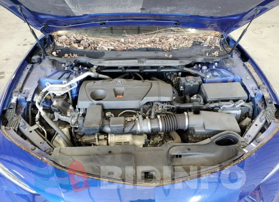 19UUB5F58MA003421 Photo# 11