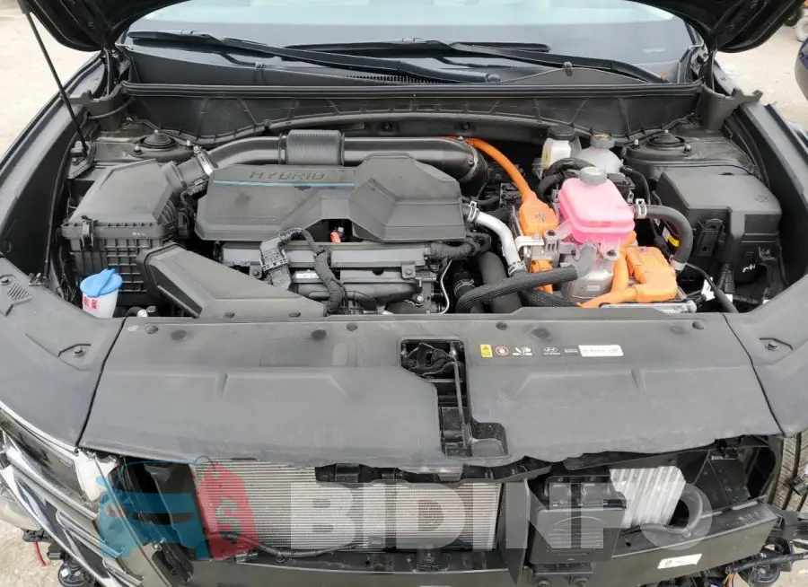 KM8JECD10RU234019 Photo# 12