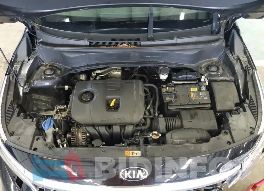 KNDERCAA3M7154848 Photo# 12