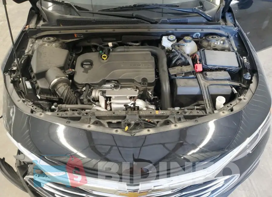 1G1ZD5ST7PF181856 Photo# 11