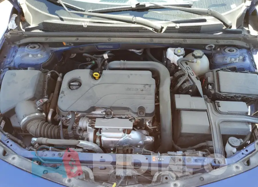 1G1ZG5ST0PF239295 Photo# 11