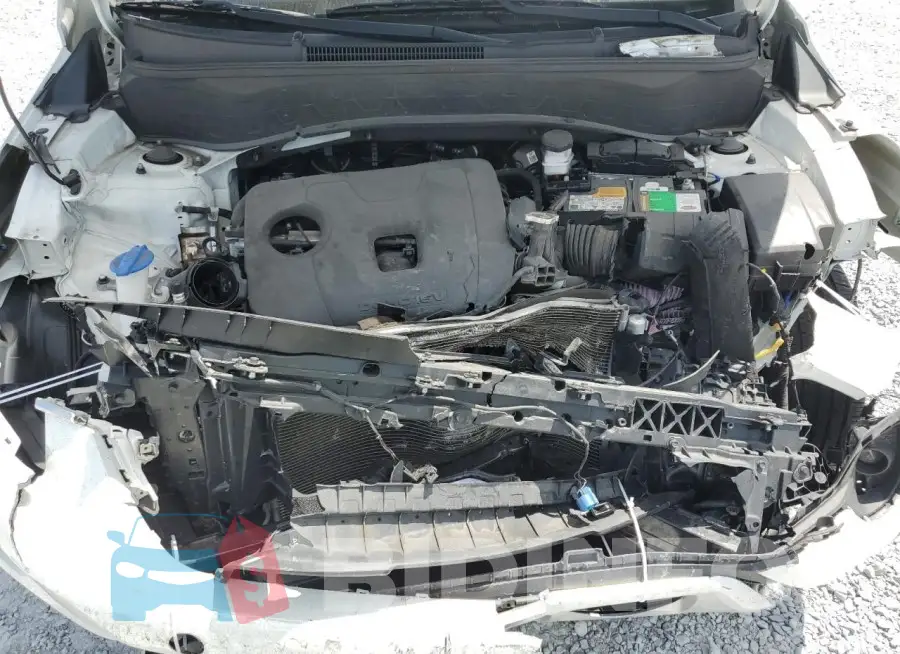 KNDEUCAA0M7223090 Photo# 12