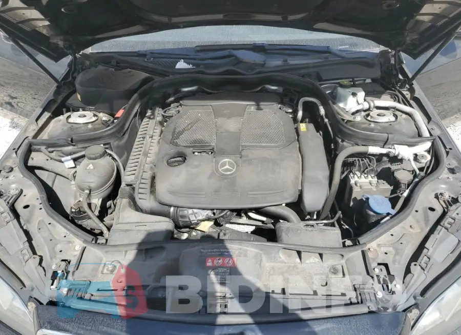 WDDHF8JBXGB191690 Photo# 11