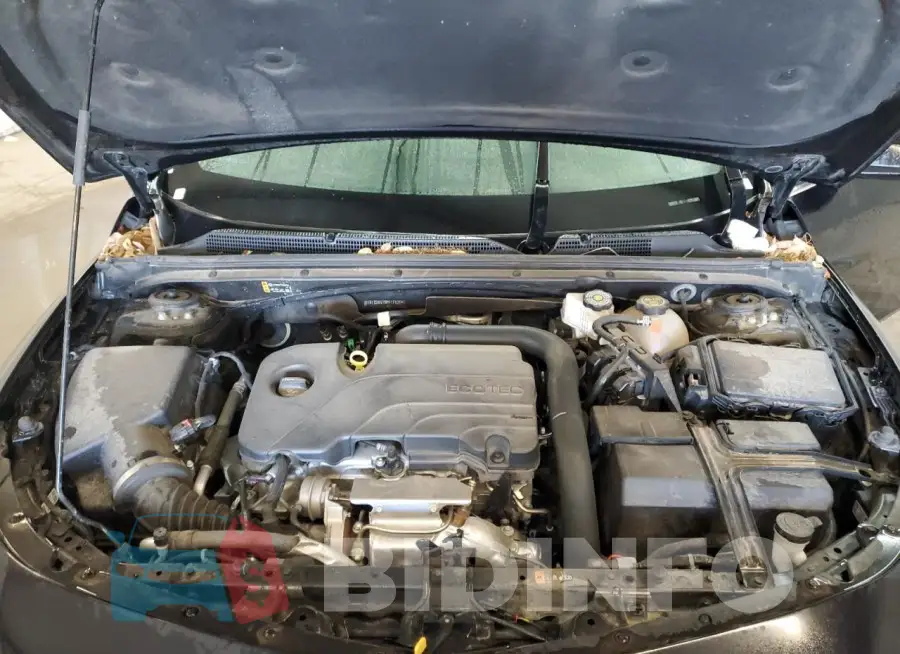 1G1ZD5ST9PF176254 Photo# 11