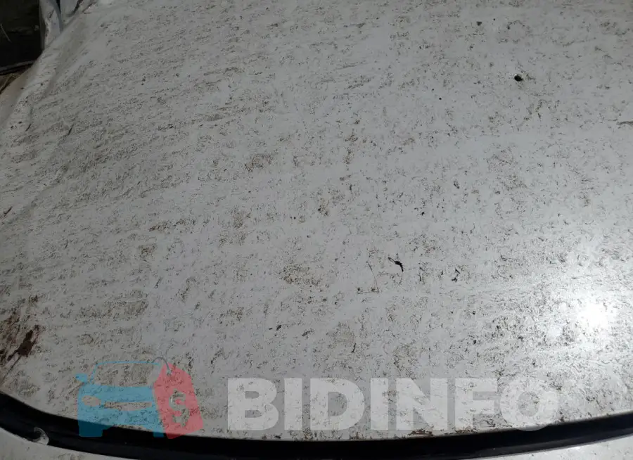 JTHC51FF8J5004560 Photo# 11
