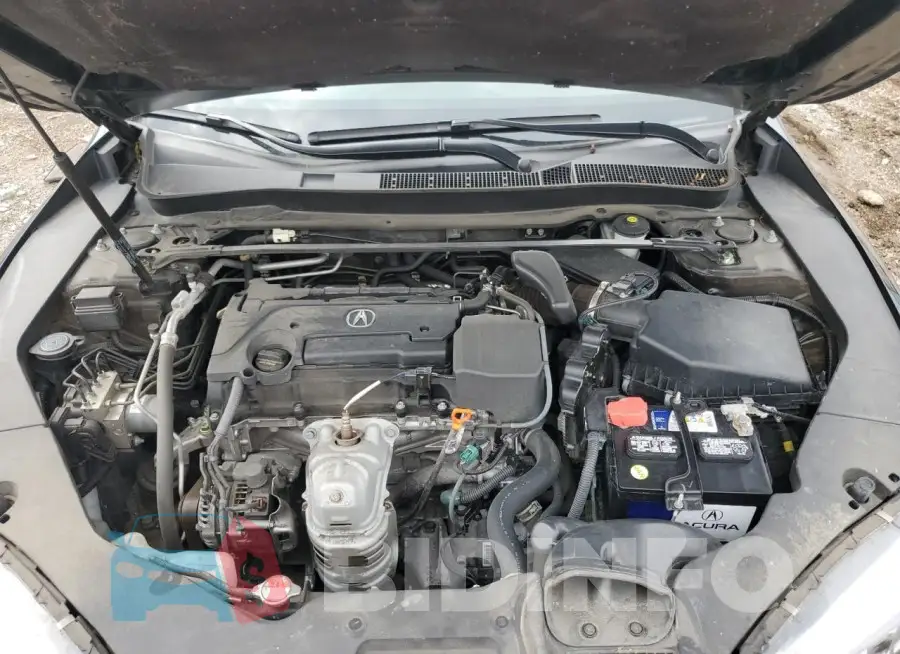 19UUB1F50LA003534 Photo# 11