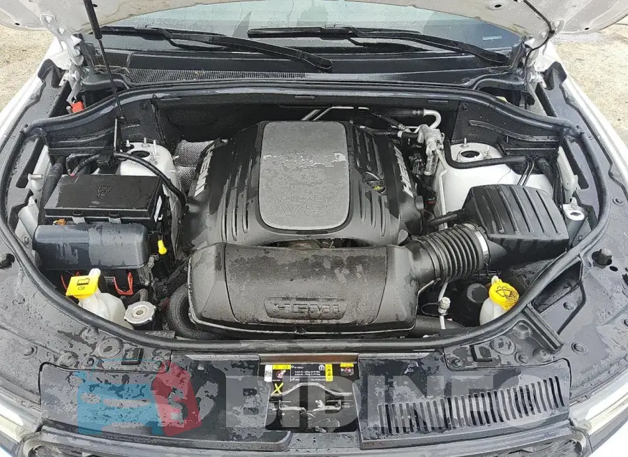 1C4SDJCT9NC230229 Photo# 12