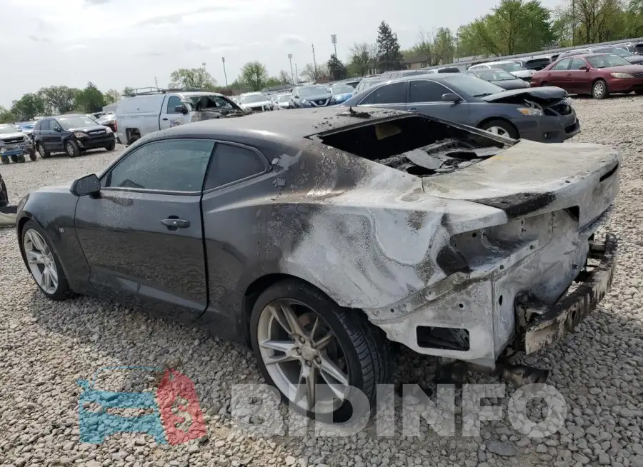 1G1FB1RS8L0108605 Photo# 2