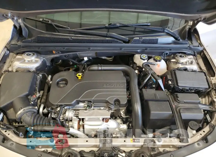 1G1ZD5ST9RF168741 Photo# 11