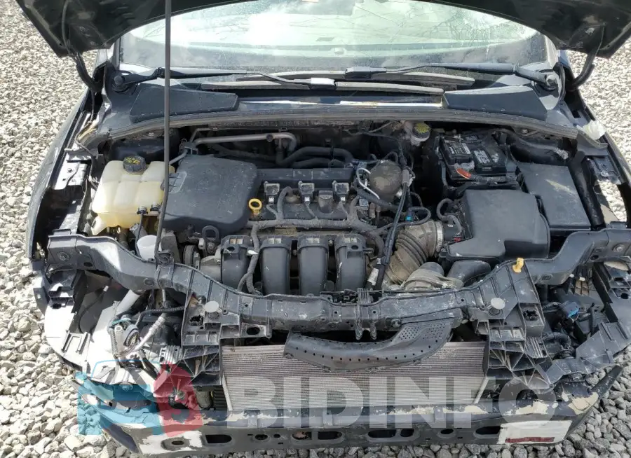 1FADP3E21GL232307 Photo# 11