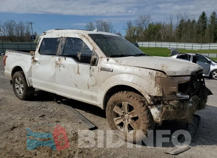 1FTEW1E44LFA74576 Photo# 4
