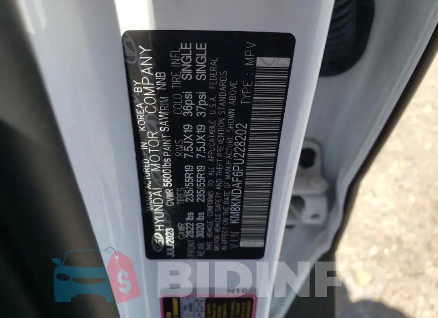 KM8KNDAF6PU228202 Photo# 14